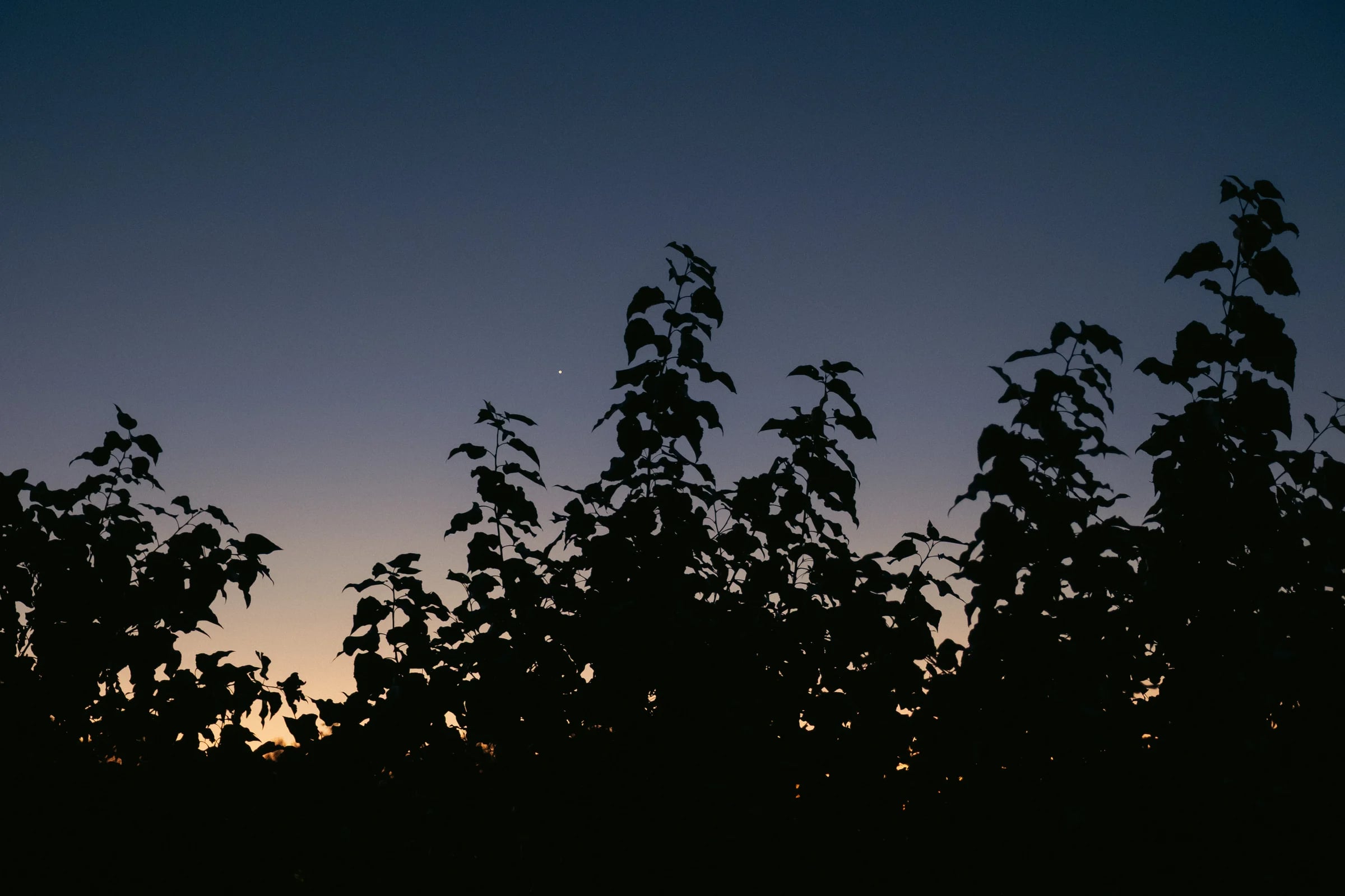 cinematic long exposure moon skyscape vancouver wa sunset
