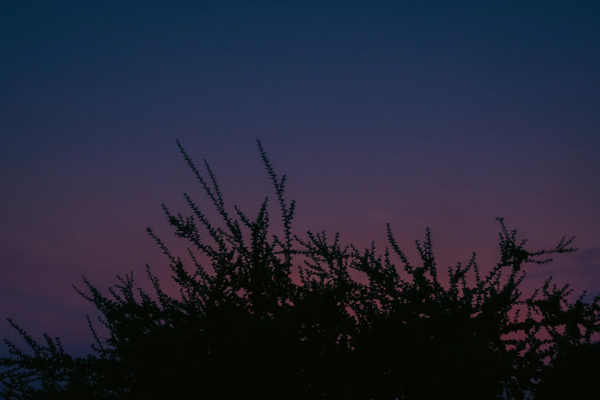 cinematic long exposure moon skyscape vancouver wa sunset