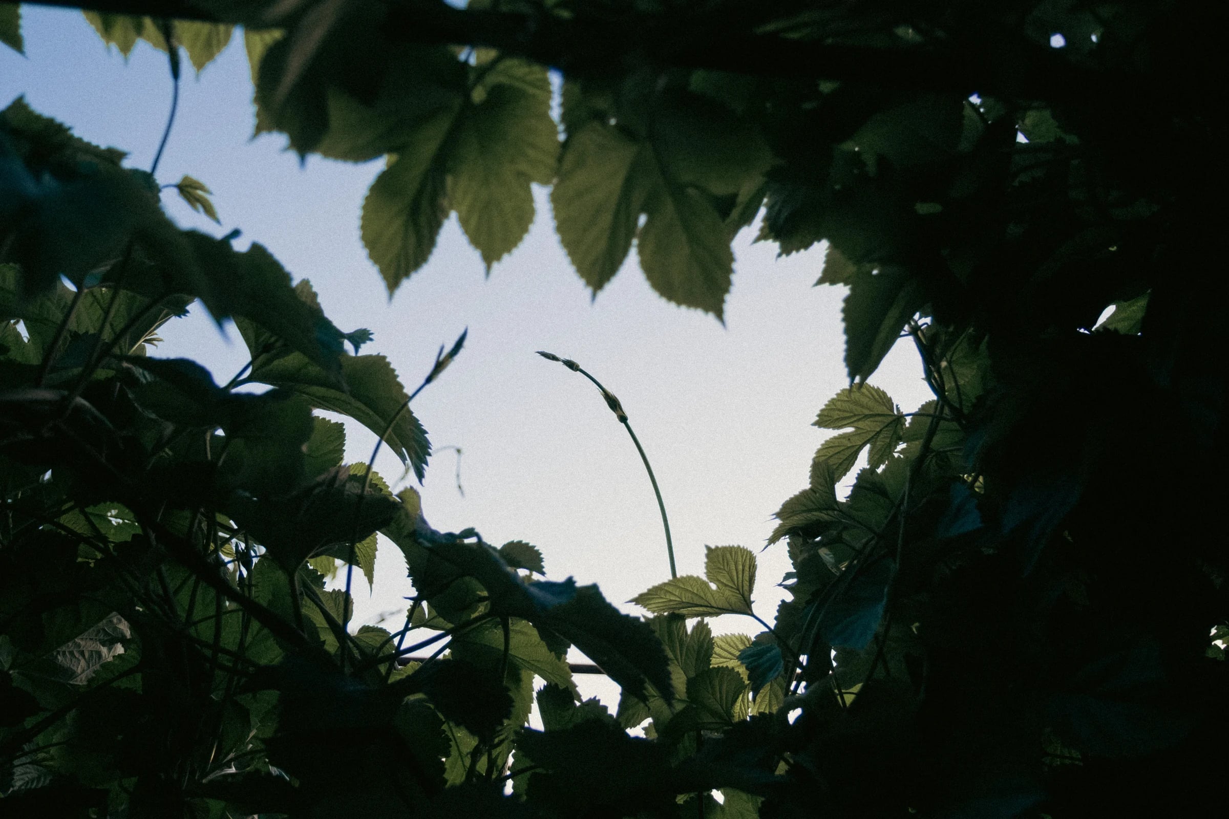ajphotosmonths2 6