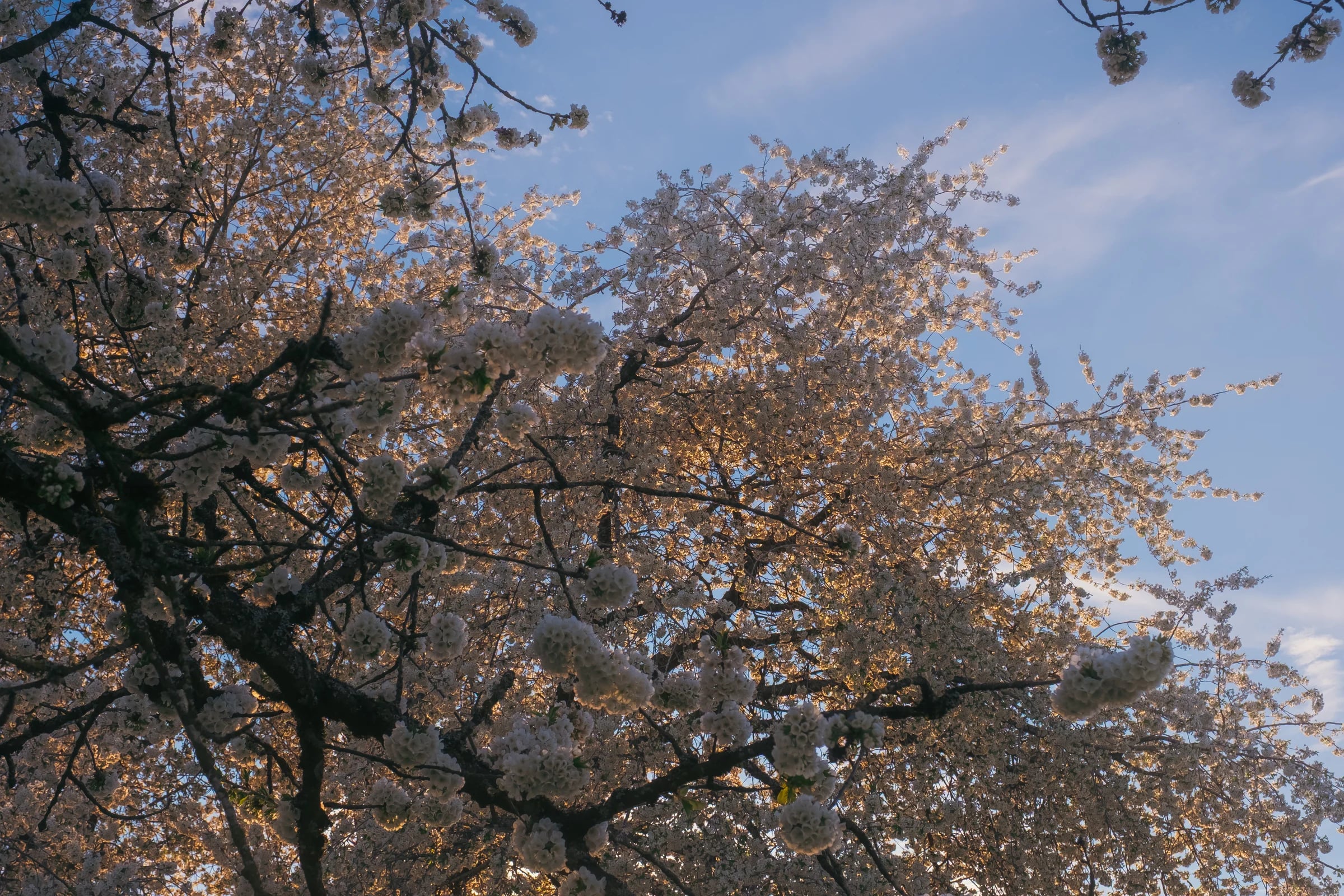 ajphotosmonths2 6