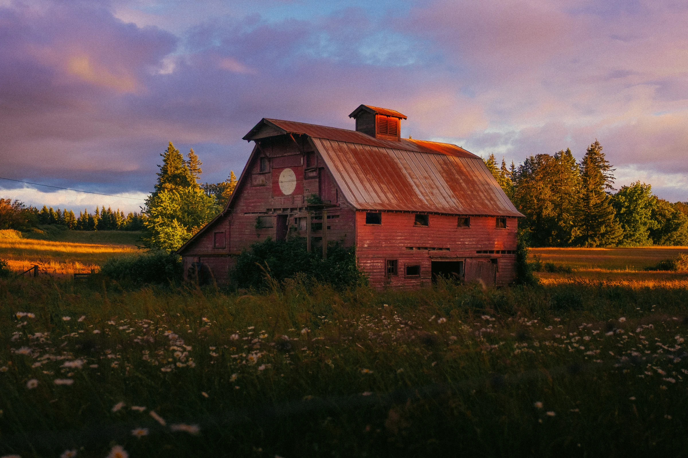 old red barn sunset washougal wa wildflowers june 2026