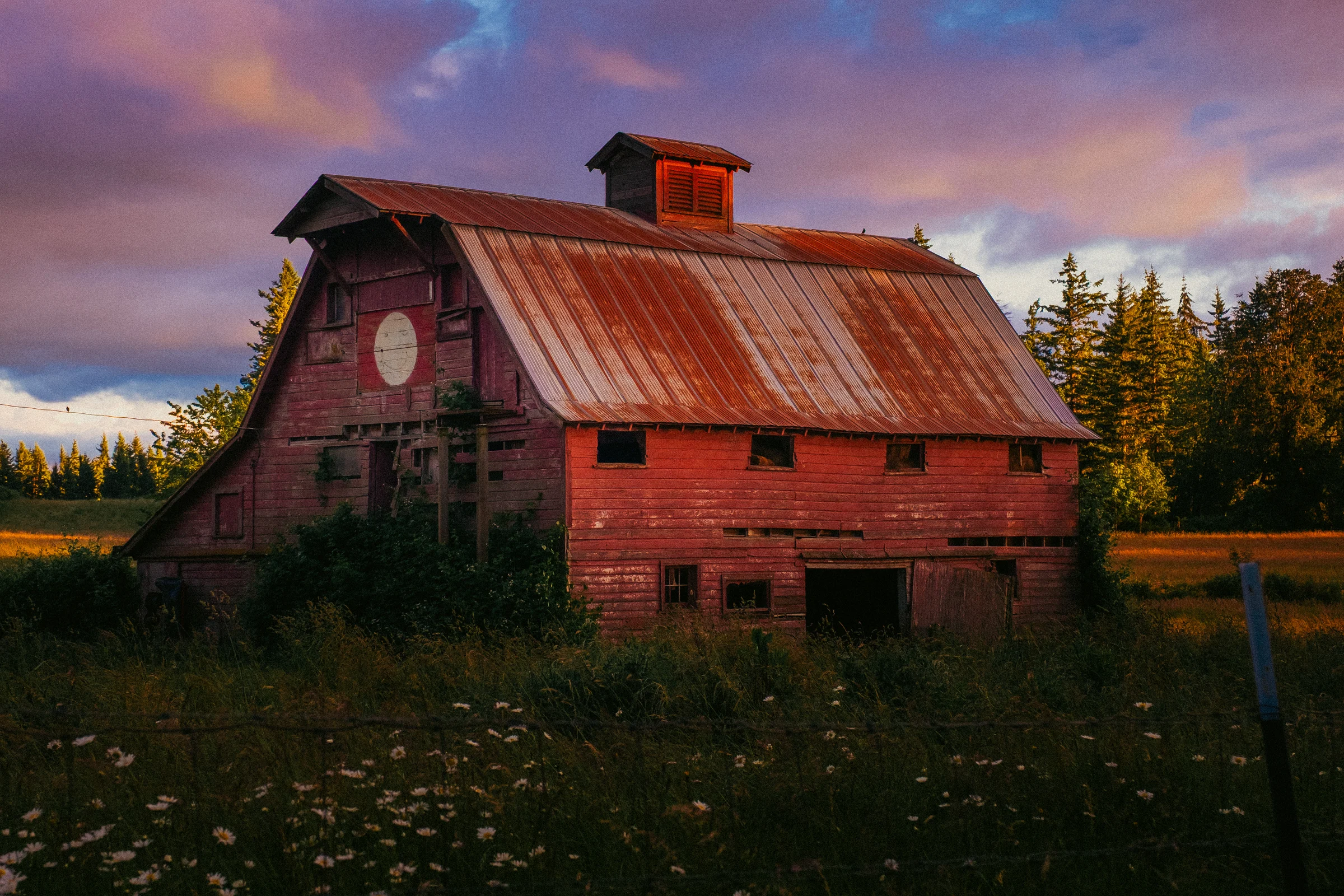 old red barn sunset washougal wa wildflowers june 2026