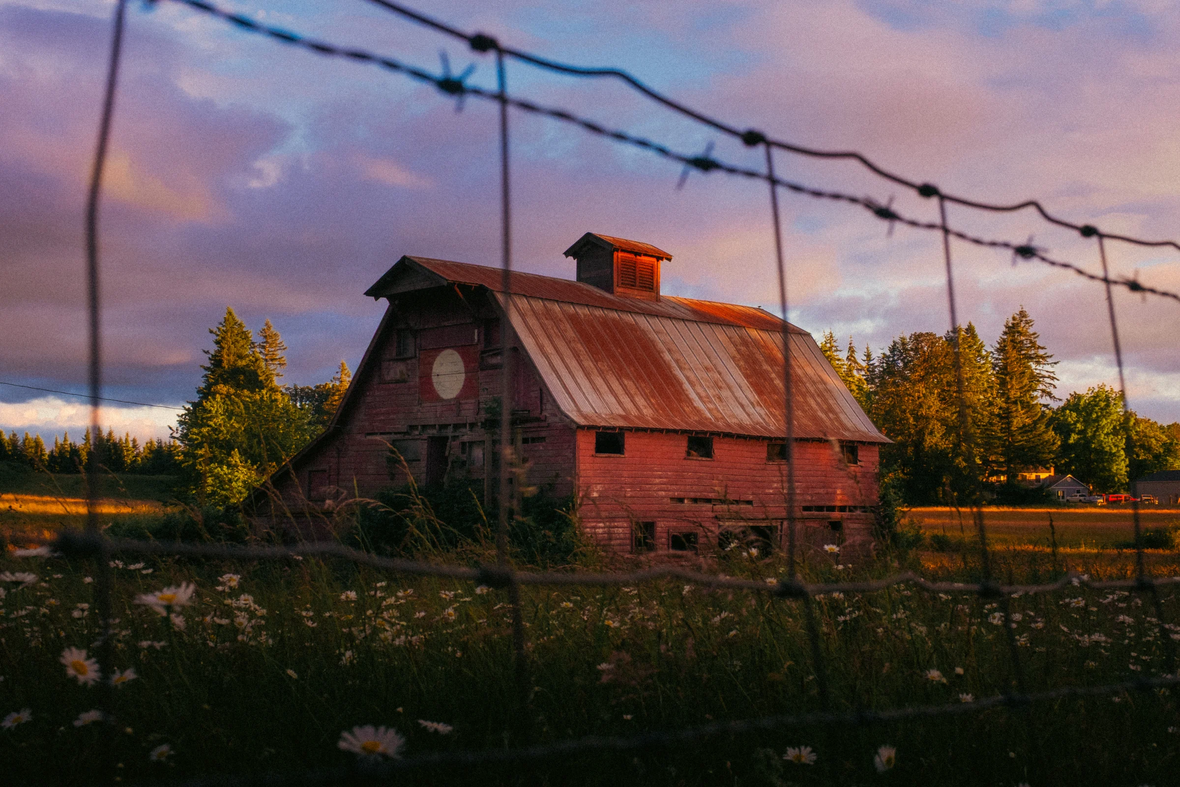 old red barn sunset washougal wa wildflowers june 2026