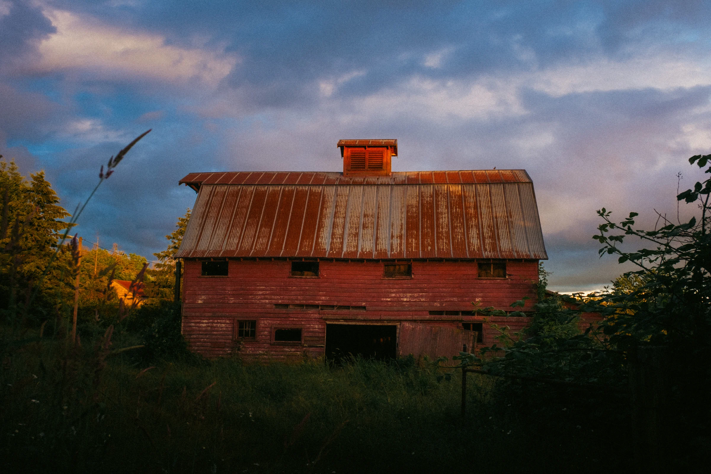 old red barn sunset washougal wa wildflowers june 2026
