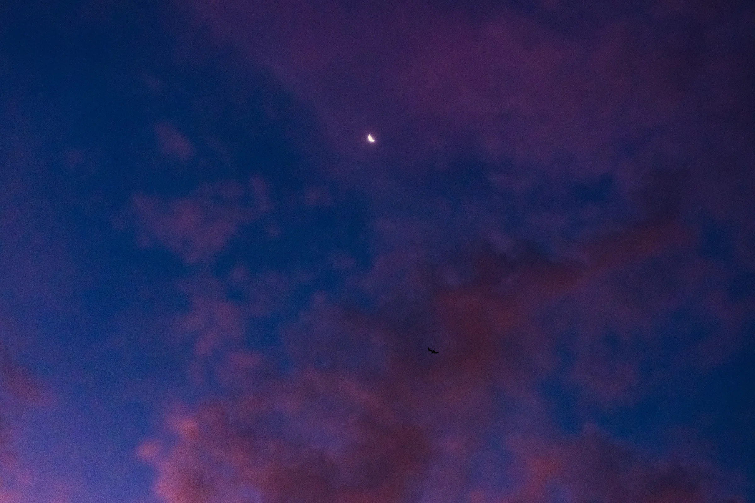 cinematic long exposure moon skyscape vancouver wa sunset