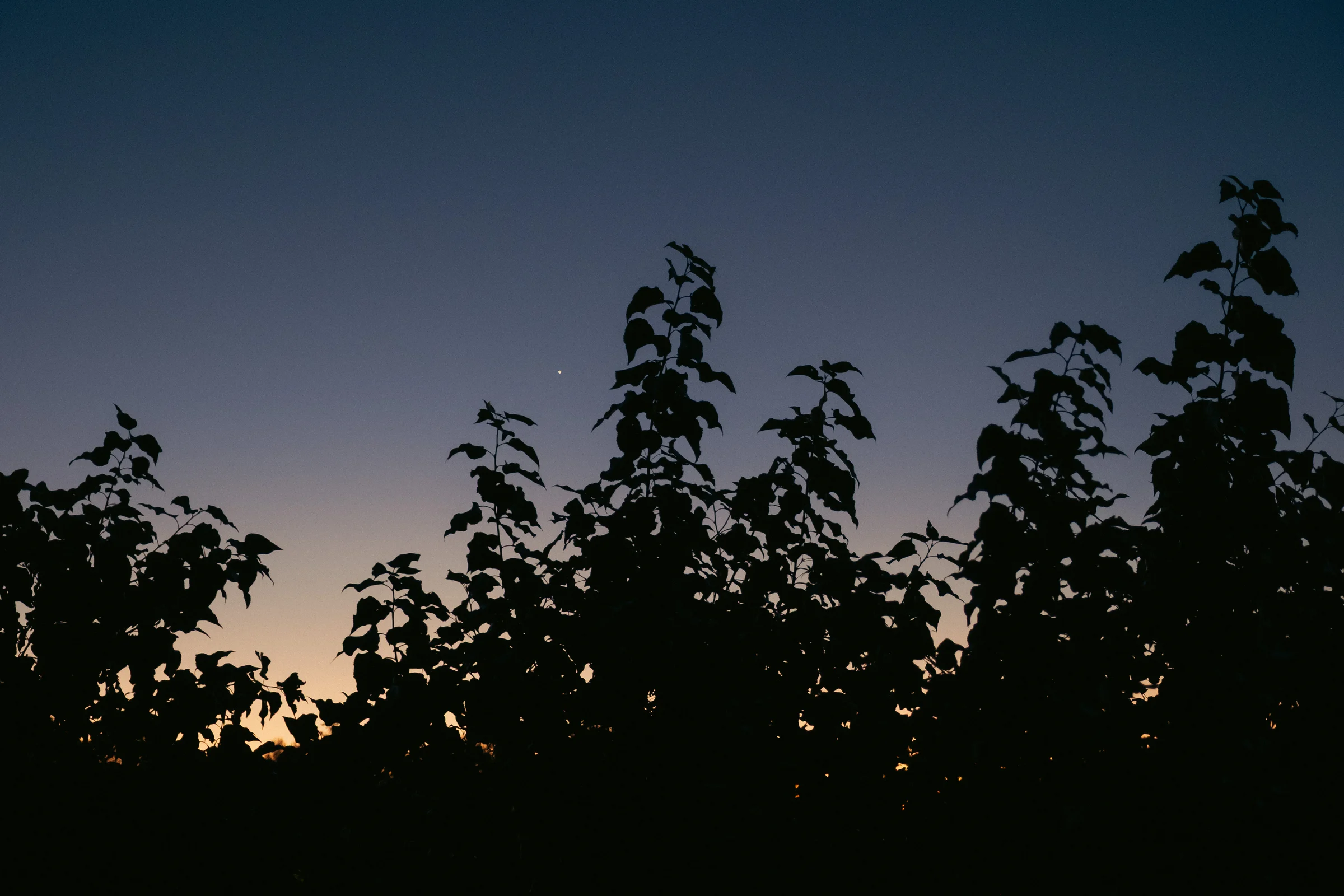 cinematic long exposure moon skyscape vancouver wa sunset