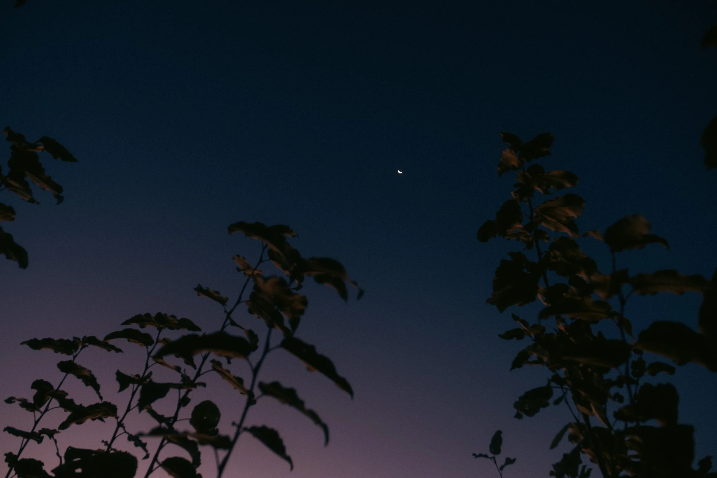 cinematic long exposure moon skyscape vancouver wa sunset