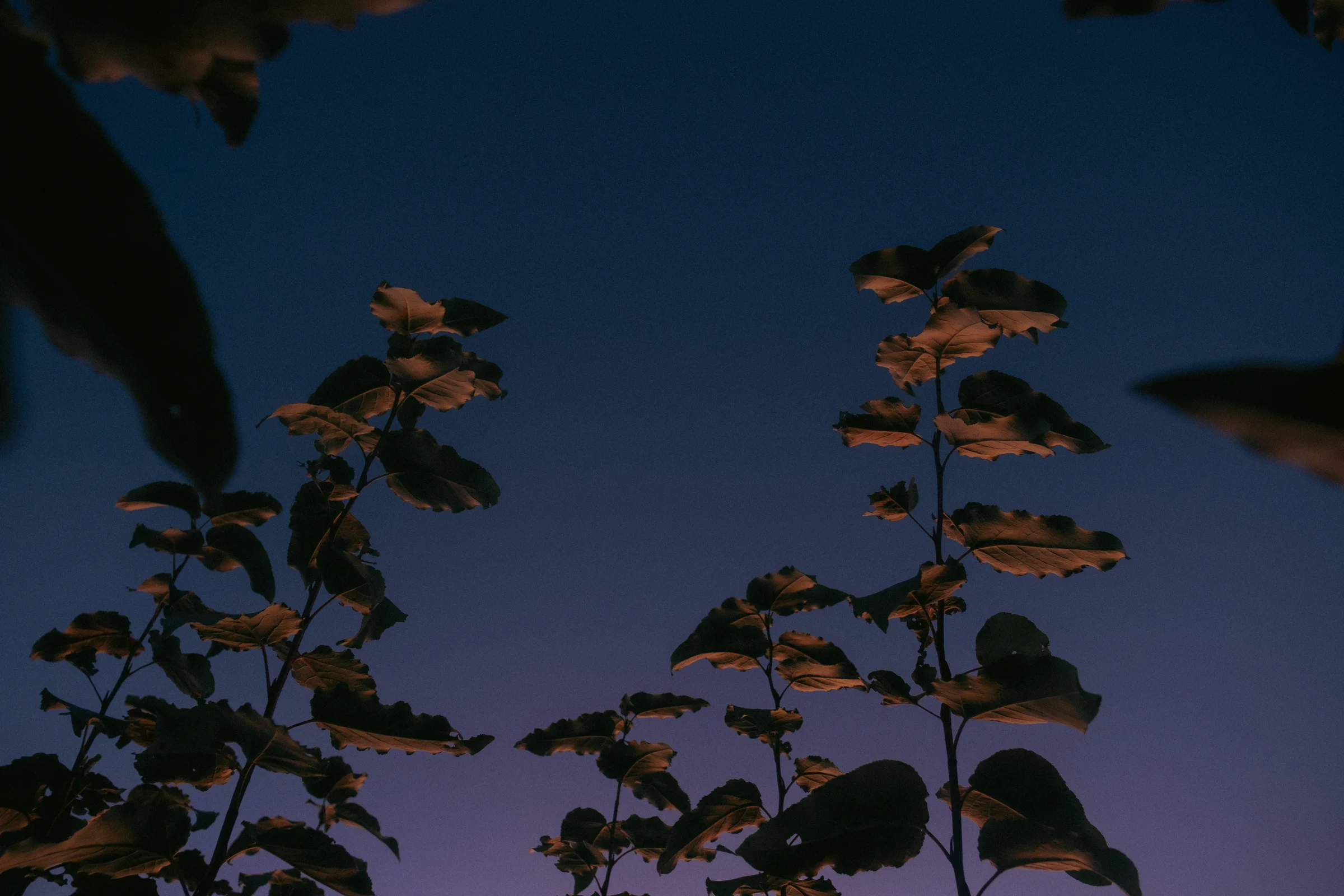 cinematic long exposure moon skyscape vancouver wa sunset