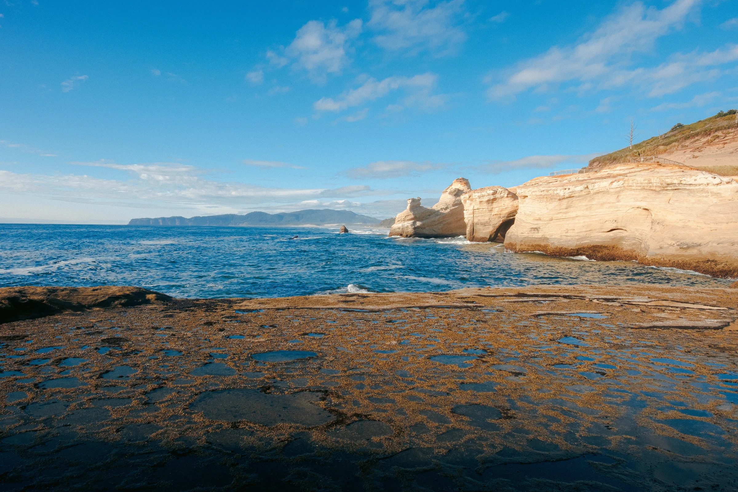 pacific city oregon coast august 2026