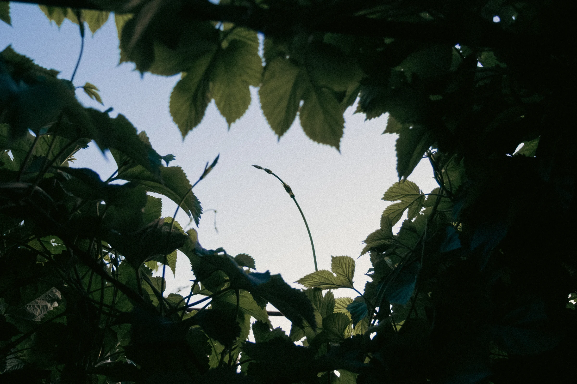ajphotosmonths2 6
