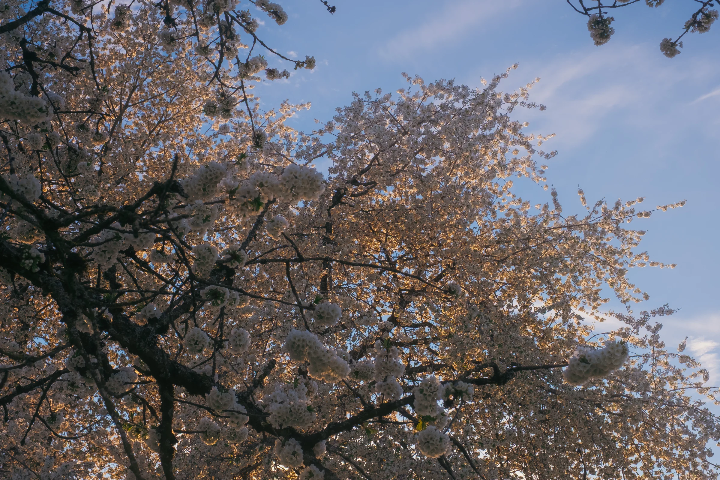 ajphotosmonths2 6