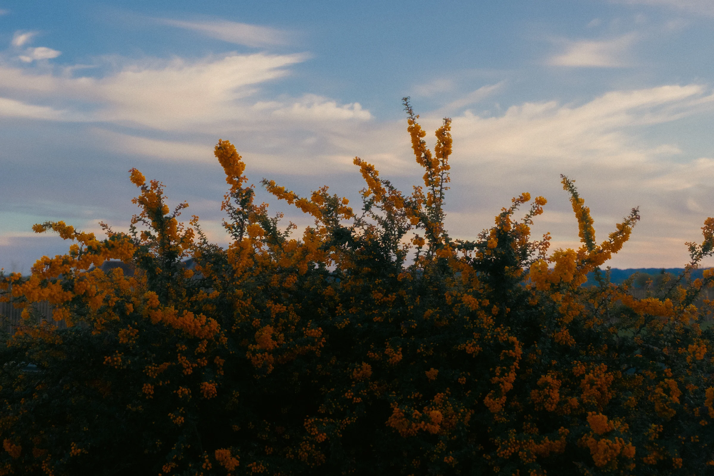 ajphotosmonths2 6
