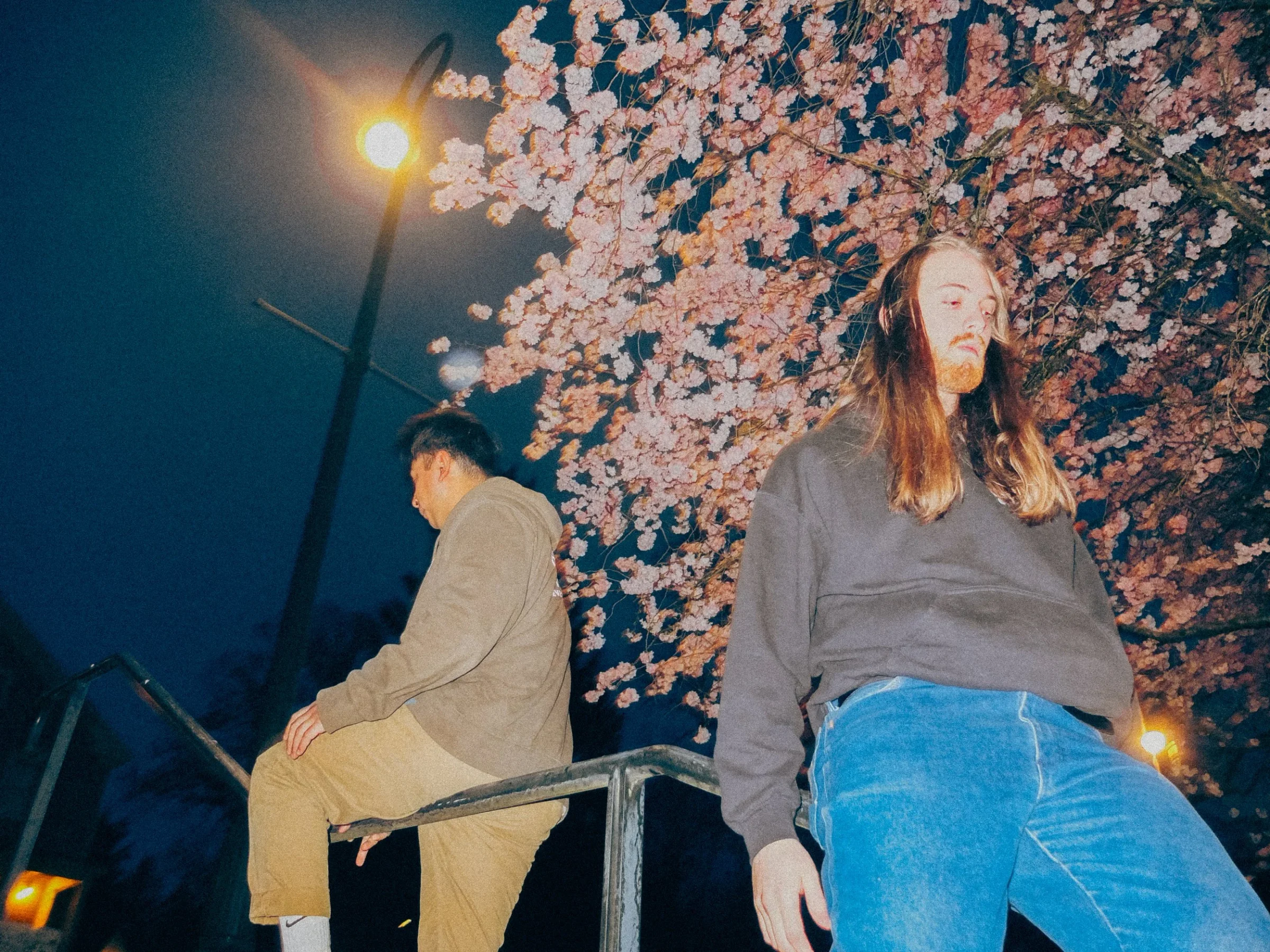 commissioned cherry blossoms
